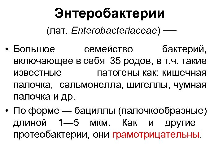Энтеробактерии (лат. Enterobacteriaceae) — • Большое семейство бактерий, включающее в себя 35 родов, в