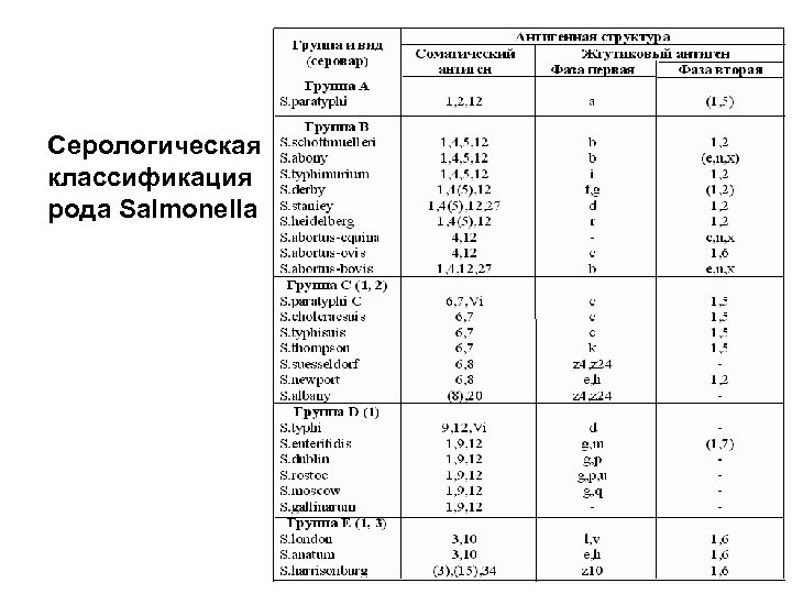 Серологическая классификация рода Salmonella 