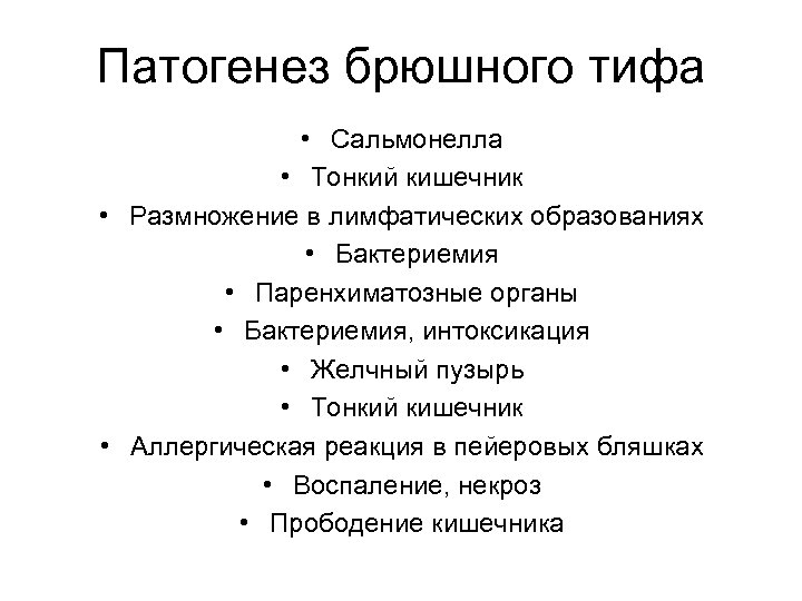 Патогенез брюшного тифа • Сальмонелла • Тонкий кишечник • Размножение в лимфатических образованиях •