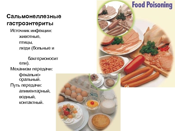 Сальмонеллезные гастроэнтериты Источник инфекции: животные, птицы, люди (больные и бактерионосит ели). Механизм передачи: фекальнооральный.