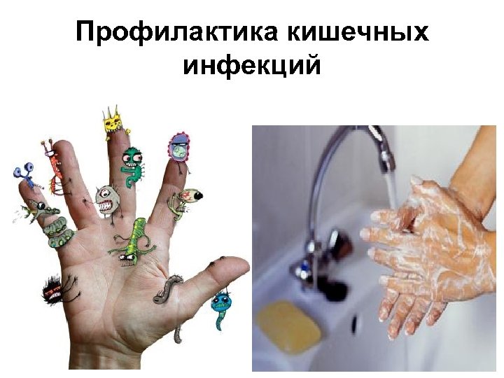 Профилактика кишечных инфекций 