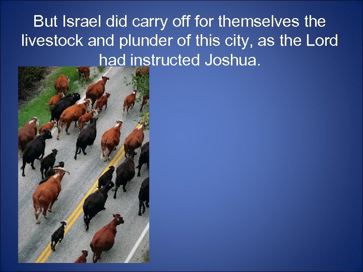 But Israel did carry off for themselves the livestock and plunder of this city,