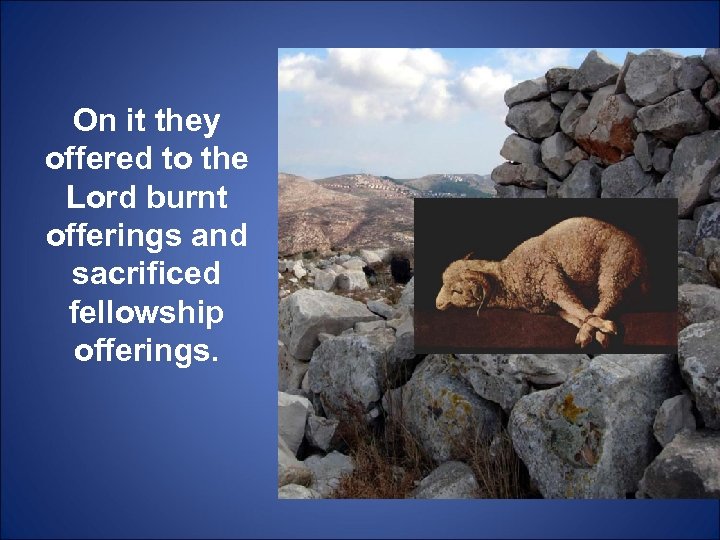 On it they offered to the Lord burnt offerings and sacrificed fellowship offerings. 