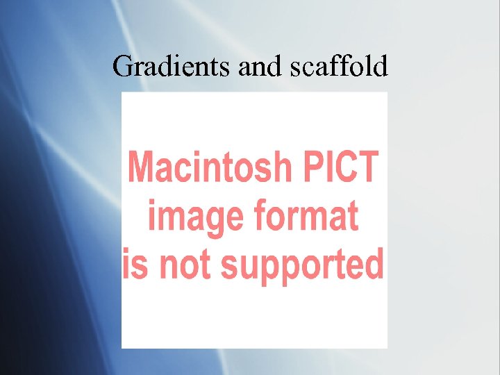 Gradients and scaffold 