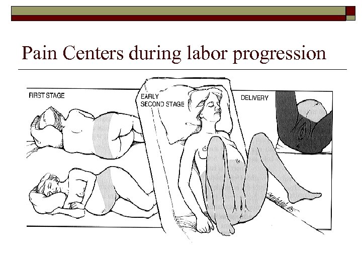 Pain Centers during labor progression 