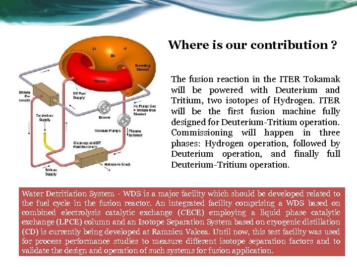 Where is our contribution ? The fusion reaction in the ITER Tokamak will be