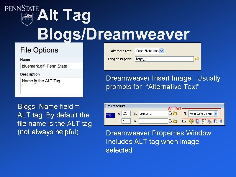 Alt Tag Blogs/Dreamweaver Insert Image: Usually prompts for “Alternative Text” Blogs: Name field =
