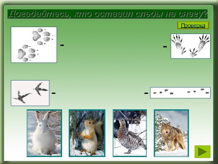 Проверка - - 