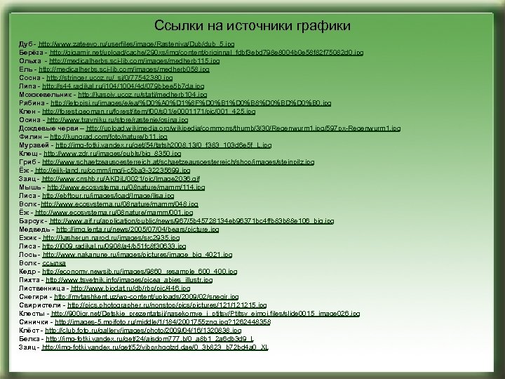Ссылки на источники графики Дуб - http: //www. zateevo. ru/userfiles/image/Rasteniya/Dub/dub_5. jpg Берёза - http: