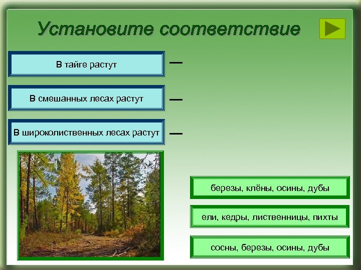Окружающий мир 4 класс тест леса россии