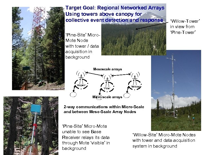 Target Goal: Regional Networked Arrays Using towers above canopy for collective event detection and