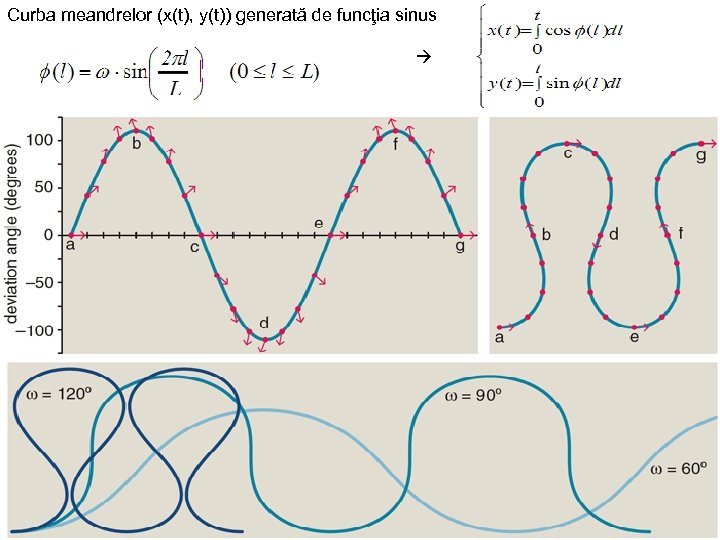 Curba meandrelor (x(t), y(t)) generată de funcţia sinus 