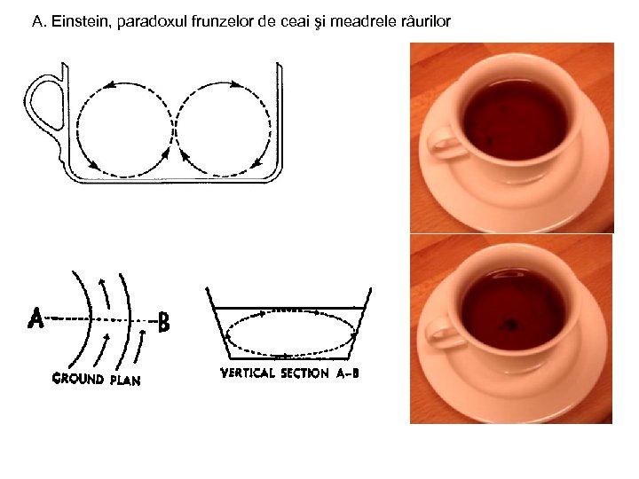 A. Einstein, paradoxul frunzelor de ceai şi meadrele râurilor 