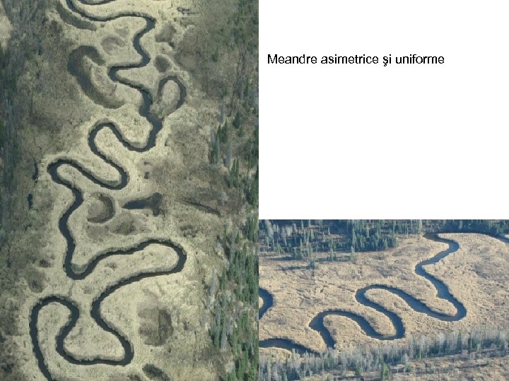 Meandre asimetrice şi uniforme 