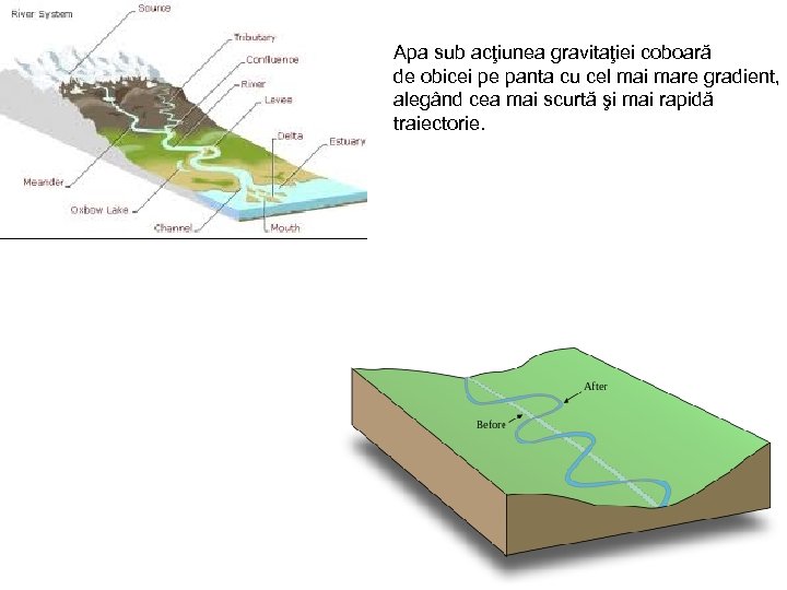 Apa sub acţiunea gravitaţiei coboară de obicei pe panta cu cel mai mare gradient,