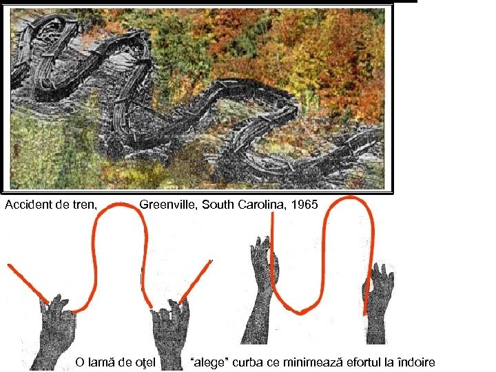Accident de tren, Greenville, South Carolina, 1965 O lamă de oţel “alege” curba ce
