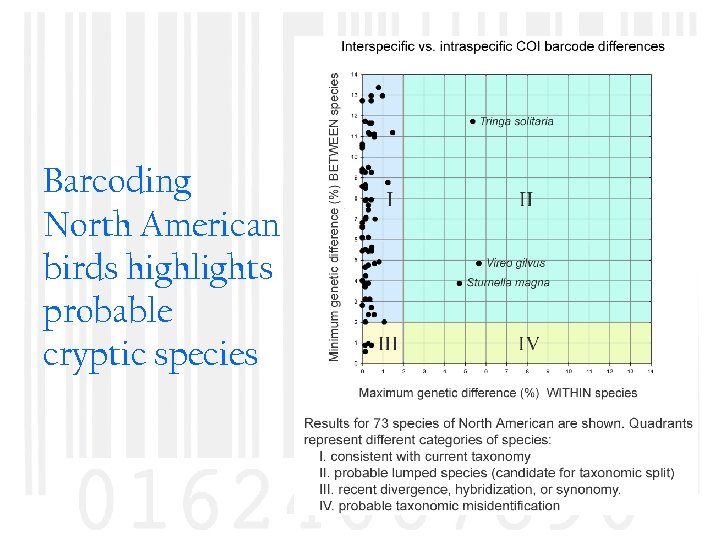 Barcoding North American birds highlights probable cryptic species 