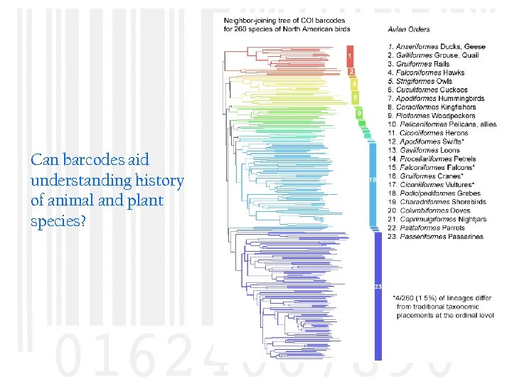 Can barcodes aid understanding history of animal and plant species? 