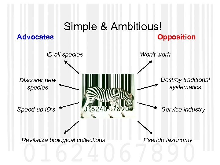 Simple & Ambitious! Advocates ID all species Discover new species Speed up ID’s Revitalize