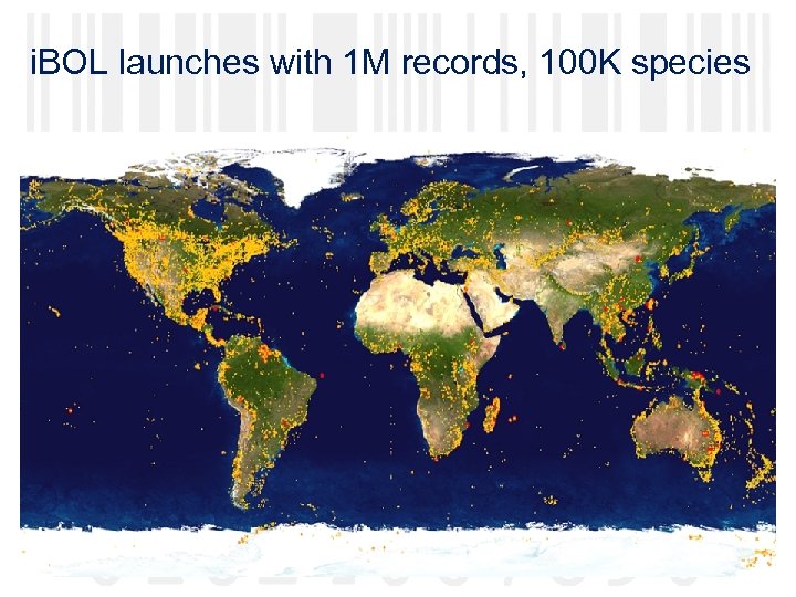 i. BOL launches with 1 M records, 100 K species 