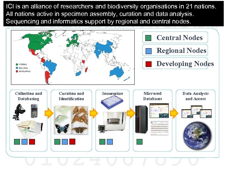 ICI is an alliance of researchers and biodiversity organisations in 21 nations. All nations
