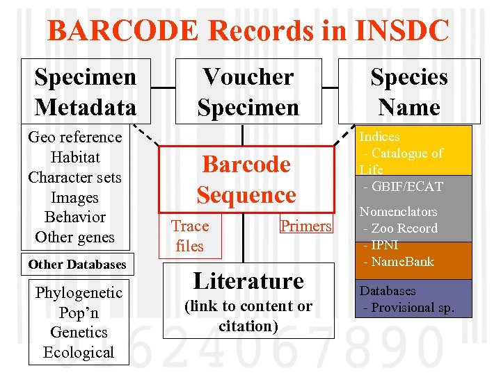 BARCODE Records in INSDC Specimen Metadata Geo reference Habitat Character sets Images Behavior Other