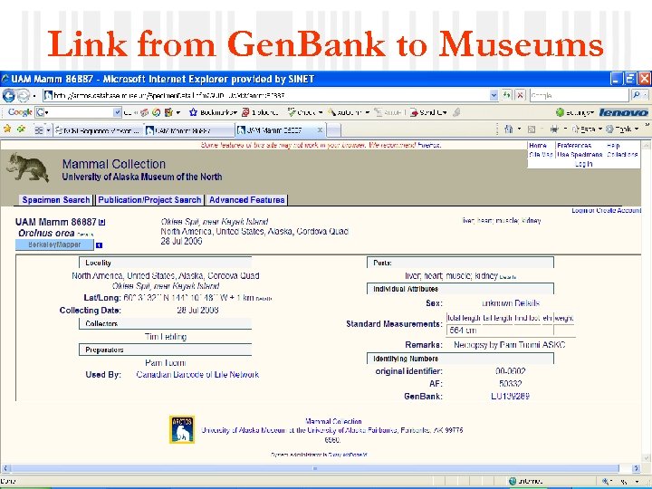Link from Gen. Bank to Museums NBII, 25 February 2009 