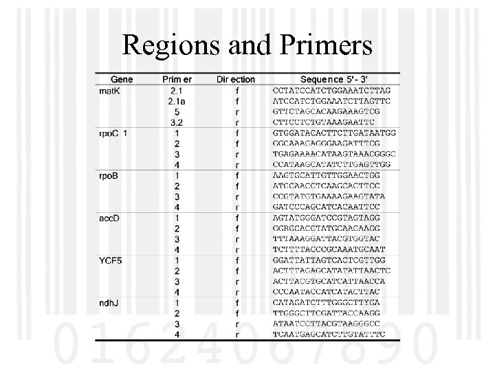 Regions and Primers 