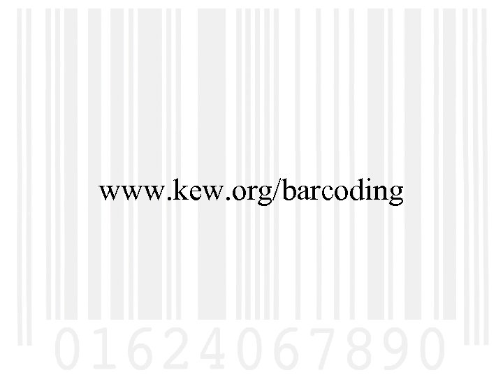 www. kew. org/barcoding 