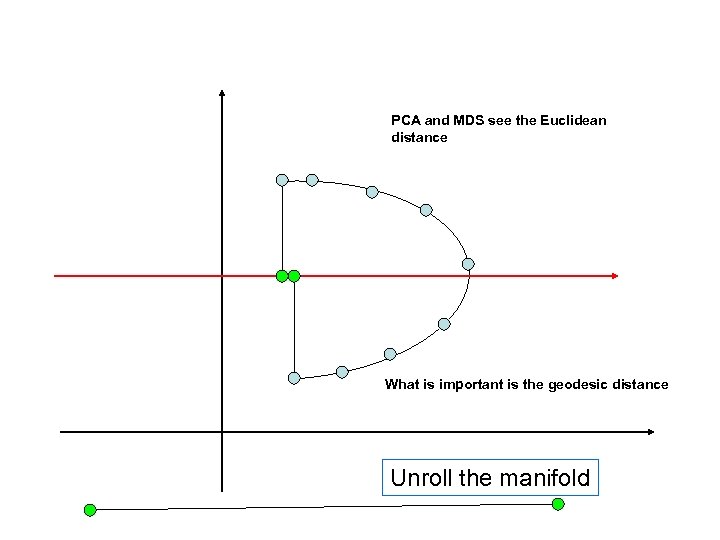 A PCA and MDS see the Euclidean distance What is important is the geodesic