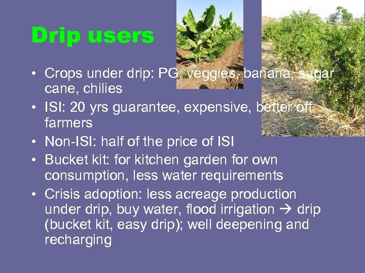Drip users • Crops under drip: PG, veggies, banana, sugar cane, chilies • ISI: