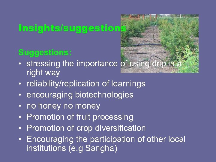 Insights/suggestions Suggestions: • stressing the importance of using drip in a right way •