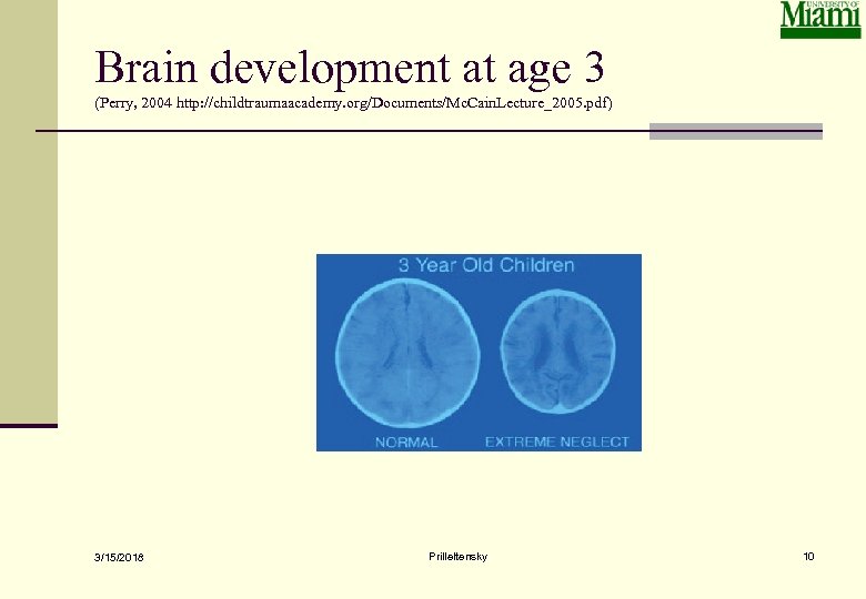 Brain development at age 3 (Perry, 2004 http: //childtraumaacademy. org/Documents/Mc. Cain. Lecture_2005. pdf) 3/15/2018