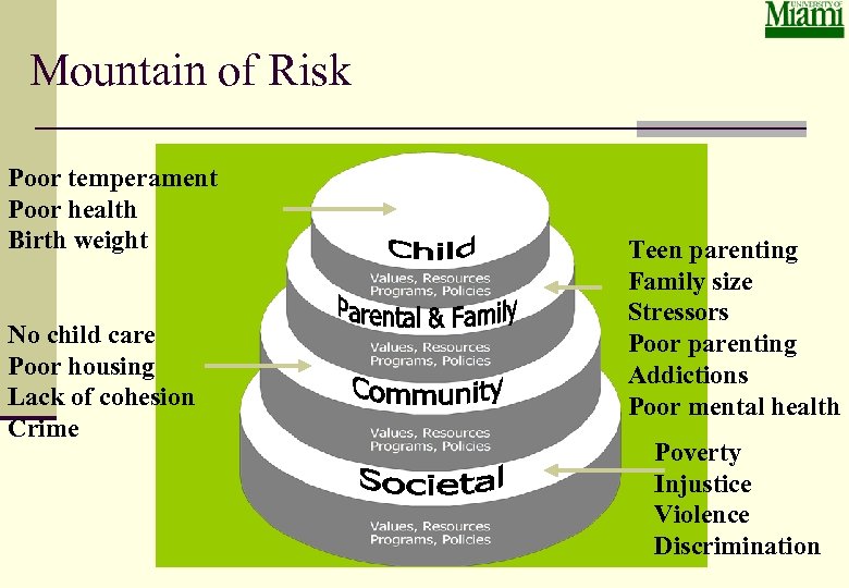 Mountain of Risk Poor temperament Poor health Birth weight No child care Poor housing