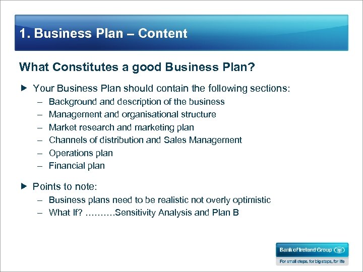 1. Business Plan – Content What Constitutes a good Business Plan? Your Business Plan