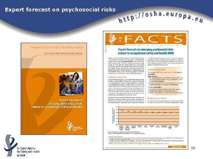 Expert forecast on psychosocial risks 13 