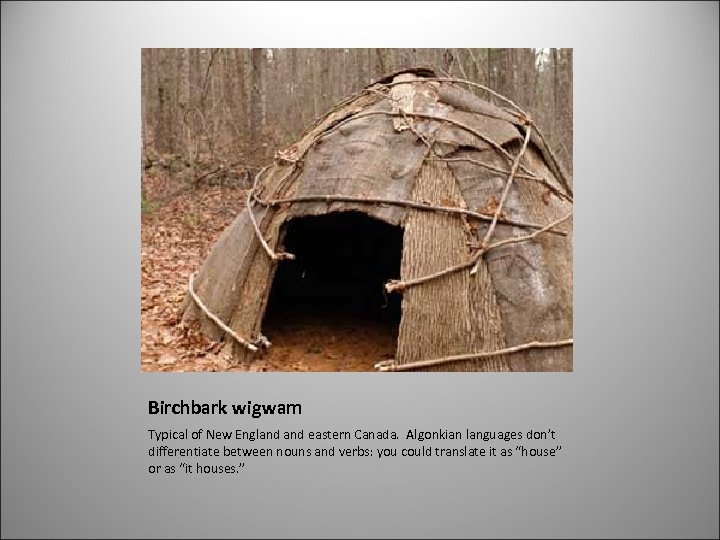 Birchbark wigwam Typical of New England eastern Canada. Algonkian languages don’t differentiate between nouns