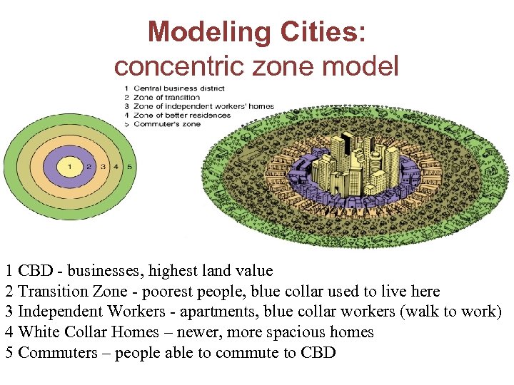 Modeling Cities: concentric zone model 1 CBD - businesses, highest land value 2 Transition