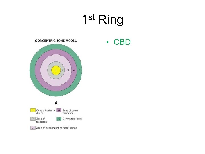 1 st Ring • CBD 