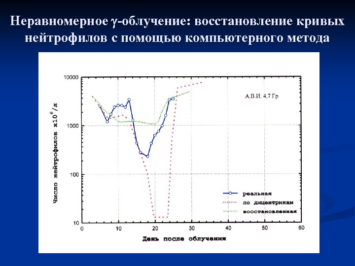 Неравномерное -облучение: восстановление кривых нейтрофилов с помощью компьютерного метода 