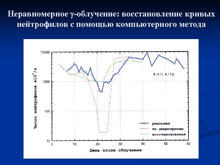 Неравномерное -облучение: восстановление кривых нейтрофилов с помощью компьютерного метода 