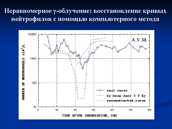 Неравномерное -облучение: восстановление кривых нейтрофилов с помощью компьютерного метода 