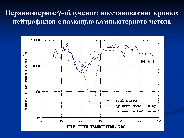 Неравномерное -облучение: восстановление кривых нейтрофилов с помощью компьютерного метода 