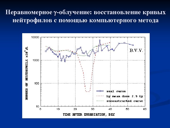 Неравномерное -облучение: восстановление кривых нейтрофилов с помощью компьютерного метода 