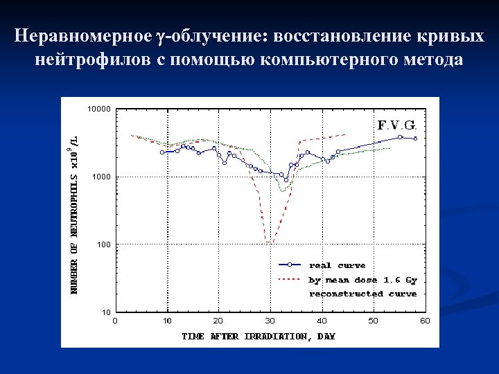 Неравномерное -облучение: восстановление кривых нейтрофилов с помощью компьютерного метода 