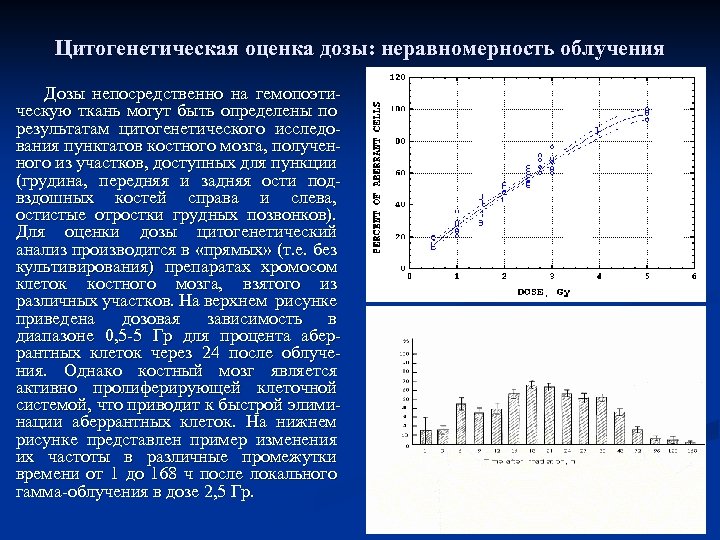 Цитогенетическая оценка дозы: неравномерность облучения Дозы непосредственно на гемопоэтическую ткань могут быть определены по