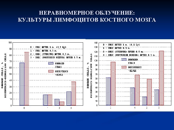 НЕРАВНОМЕРНОЕ ОБЛУЧЕНИЕ: КУЛЬТУРЫ ЛИМФОЦИТОВ КОСТНОГО МОЗГА 