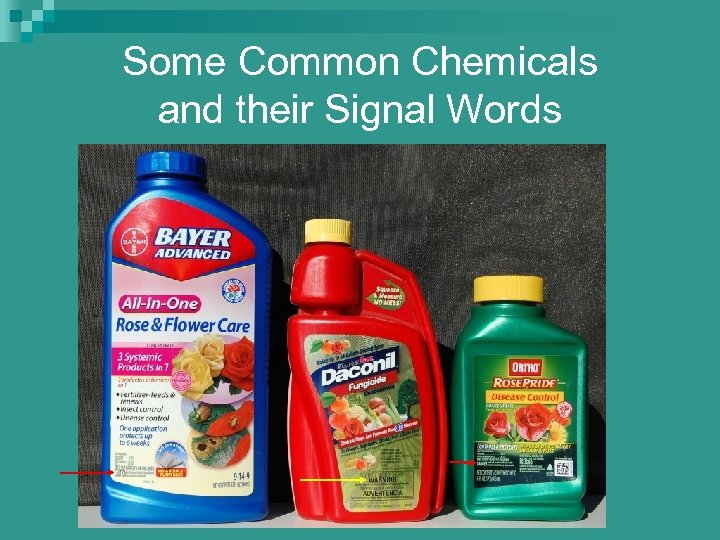 Some Common Chemicals and their Signal Words 