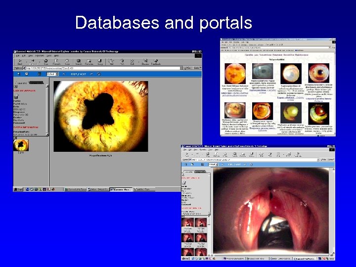 Databases and portals 