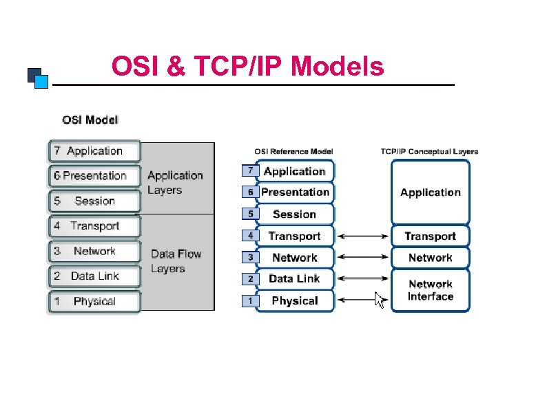 TCP/IP Model OSI & TCP/IP Models 